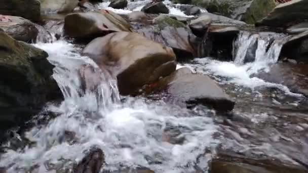 渓流の夕景 — ストック動画