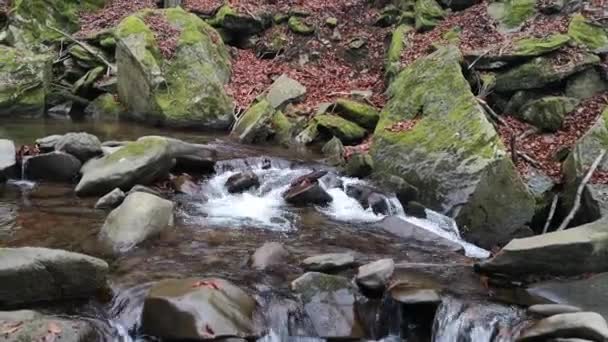 Dağ Deresinin Akşam Manzarası — Stok video