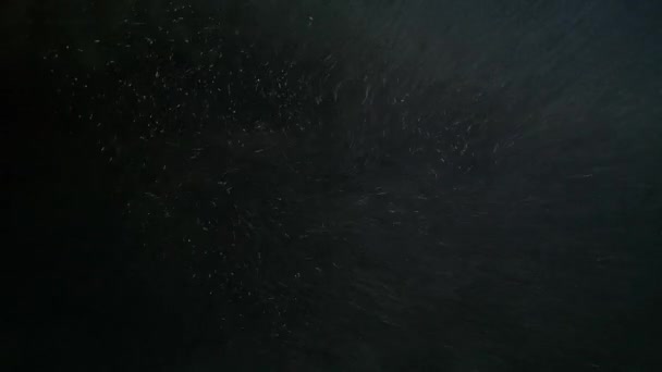Nevoeiro Muito Pesado Feixe Luz — Vídeo de Stock