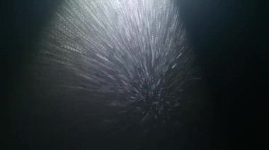 Bir ışık demetinde çok ağır sis