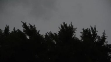 Fırtınalı gece gökyüzünde bir ağacın tepesinde şimşek çakıyor.