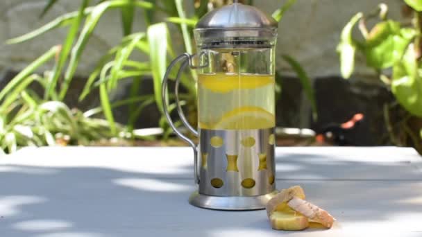 Чай Лимоном Французькій Пресі — стокове відео