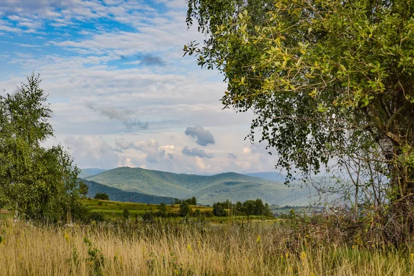 ใบไม วงในภ เขา Carpathian — ภาพถ่ายสต็อก