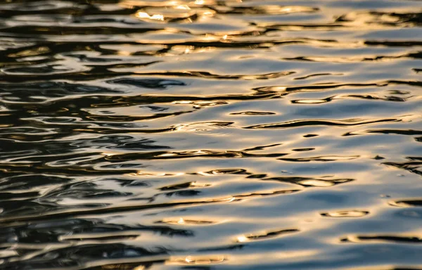 Belo Pôr Sol Primavera Lago — Fotografia de Stock
