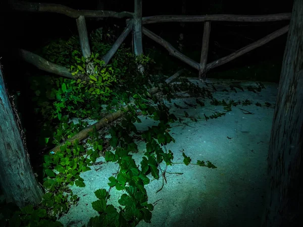 Таємнича Альтанка Вночі Повзучими Рослинами — стокове фото
