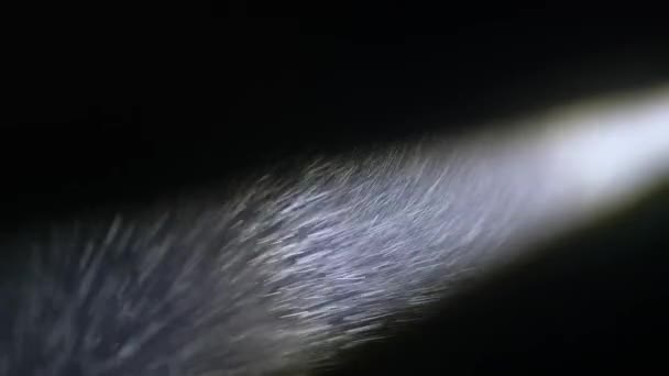 Bardzo Ciężka Mgła Wiązce Światła — Wideo stockowe
