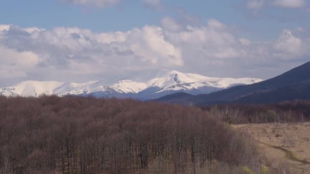 Tours Temps Paysage Printanier Dans Les Montagnes Des Carpates — Video