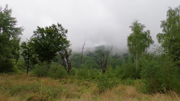 Giri Tempo Paesaggio Nebbioso Una Serata Estiva Montagna — Video Stock