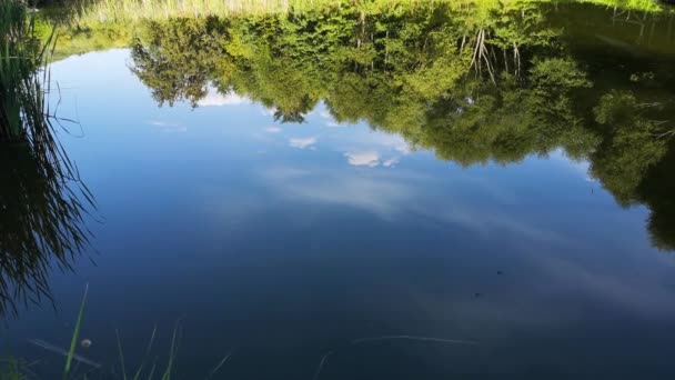 Tiempo Pesca Lapso Lago — Vídeos de Stock