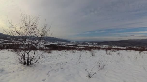 Karpatlar Zaman Aşımına Uğramış Kış Manzarası — Stok video