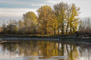 Gün batımında bir dağ nehrinin sonbahar manzarası