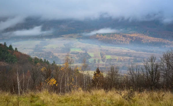Осенний Пейзаж Туманом Горной Местности — стоковое фото