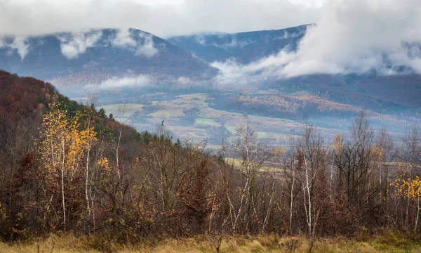 Dağlık Bir Alanda Sis Olan Sonbahar Manzarası — Stok fotoğraf