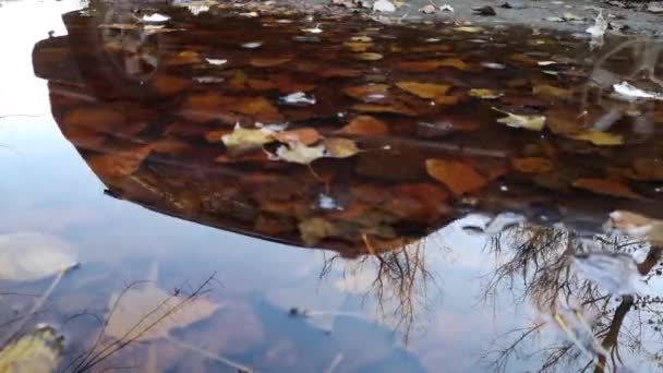 Landschaft Mit Spiegelung Einer Waldpfütze Mit Suv Kontur — Stockvideo