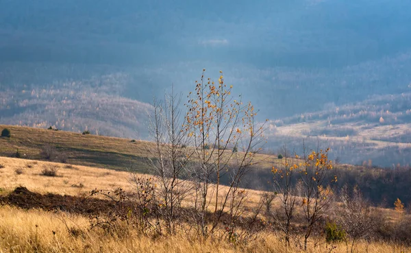 Peisaj Toamnă Munții Carpați — Fotografie, imagine de stoc