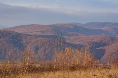 Karpat Dağları 'nda sonbahar manzarası