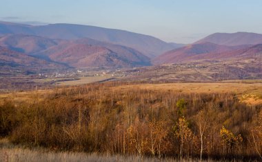 Karpat Dağları 'nda sonbahar manzarası