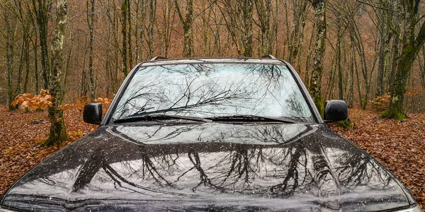 Suv Travels Autumn Carpathians Fog — Stock Photo, Image