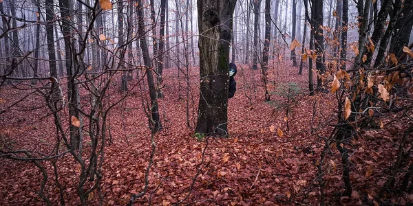 Egy Idegen Maszkos Lény Kukucskál Elő Erdő Fatörzséből — Stock Fotó