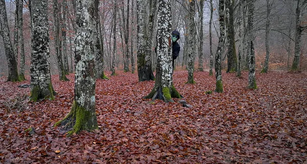 Ein Wesen Alienmaske Lugt Hinter Einem Baumstamm Wald Hervor — Stockfoto