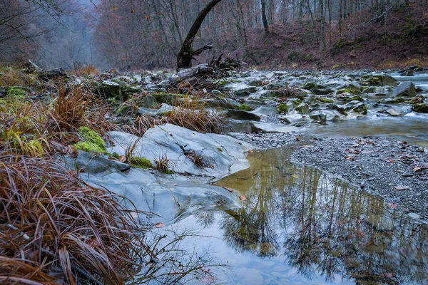 Полноводная Горная Река Карпатском Лесу — стоковое фото