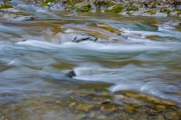 Karpat Dağları Ormanlarında Akan Nehir — Stok fotoğraf