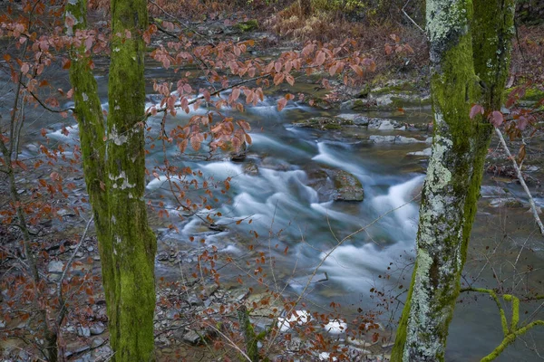 Voll Fließender Gebirgsfluss Den Karpaten — Stockfoto
