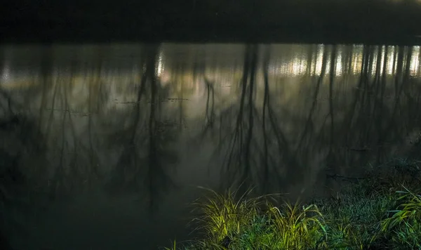 Ночной Пейзаж Отражением Фар Горной Реке Туманную Ночь — стоковое фото