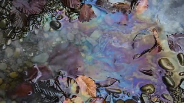 Textured Rainbow Stain Gasoline Surface Mountain River — Stock Video