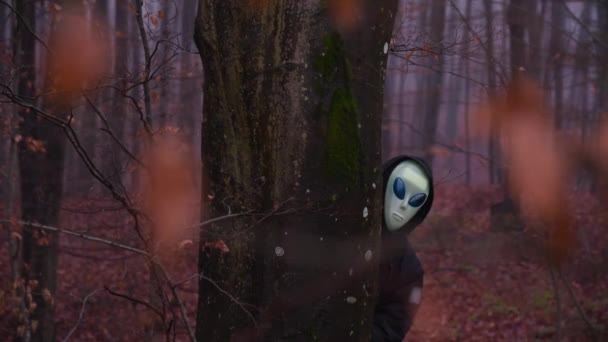 Creature Alien Mask Peeps Out Tree Trunk Forest — Stock Video