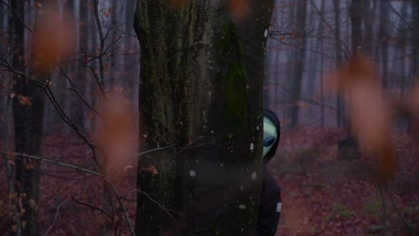 Ein Wesen Alienmaske Lugt Hinter Einem Baumstamm Wald Hervor — Stockvideo