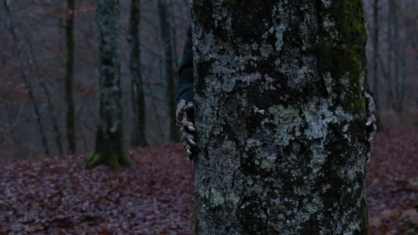 Pattes Griffées Monstre Embrassant Tronc Arbre Dans Forêt — Video