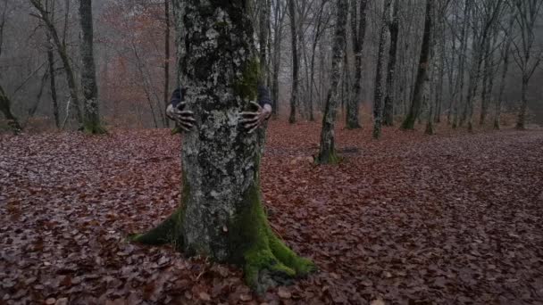 Krallenpfoten Eines Monsters Umarmen Einen Baumstamm Wald — Stockvideo