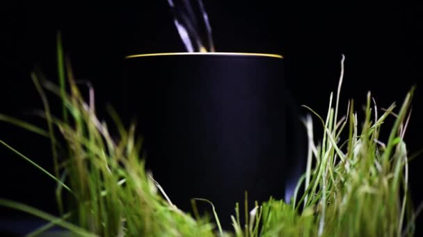 マグカップとともにAウクライナのトライデントのプリントの真ん中にライムギの芽 — ストック動画