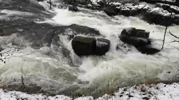 カルパチア山脈の森で山の川を見る — ストック動画