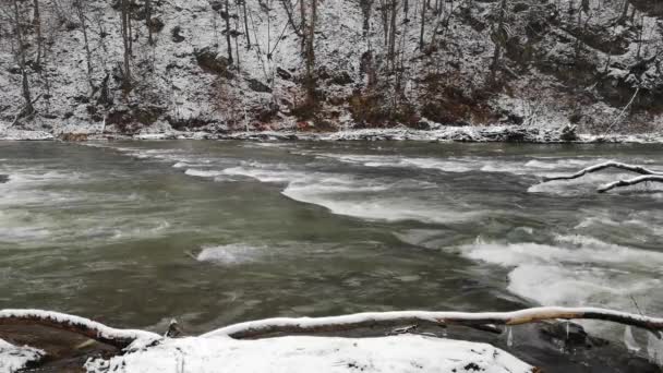 Rozlewisko Górskiej Rzeki Karpatach — Wideo stockowe
