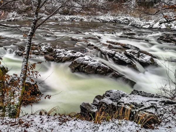 Sjunkande Bergsflod Karpaternas Fjällskog — Stockfoto