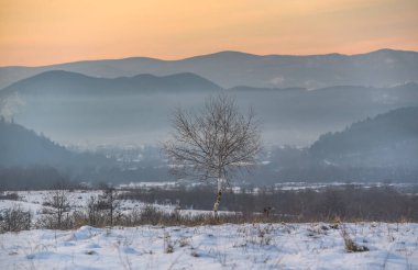 Karpatlar 'da kış akşamı kırsal arazisi