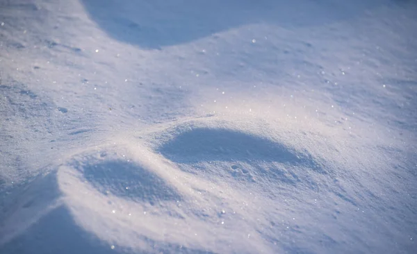 Neige Pelucheuse Texturée Dans Forêt Montagneuse Des Carpates — Photo