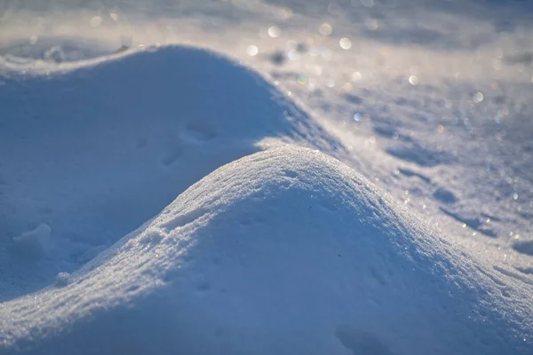 Текстурированный Пушистый Снег Горном Лесу Карпат — стоковое фото