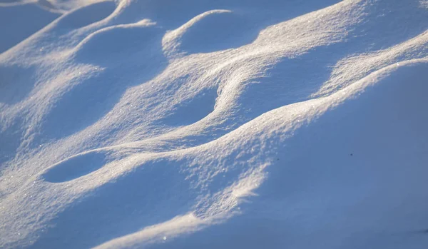 Texturerad Fluffig Snö Karpaternas Fjällskog — Stockfoto