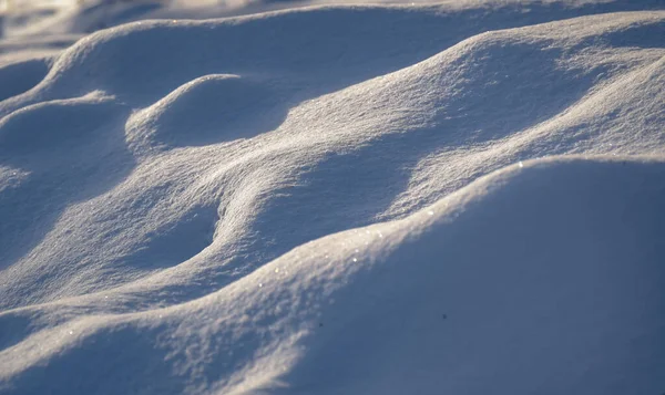 Neve Soffice Strutturata Nella Foresta Montana Dei Carpazi — Foto Stock