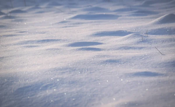 喀尔巴阡山脉山林中的毛茸茸的雪 — 图库照片