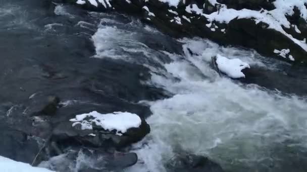 Sur Une Rivière Montagne Dans Les Carpates — Video