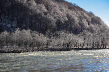 Karpat Dağları 'nda akan dağ nehri