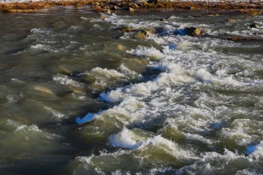 Karpat Dağları 'nda akan dağ nehri