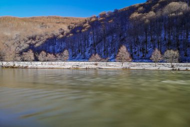 Karpat Dağları 'nda akan dağ nehri