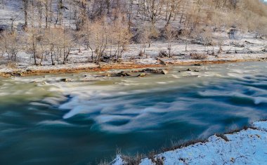 Karpat Dağları 'nda akan dağ nehri