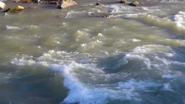Płynąca Pełni Górska Rzeka Zimowych Karpatach — Wideo stockowe