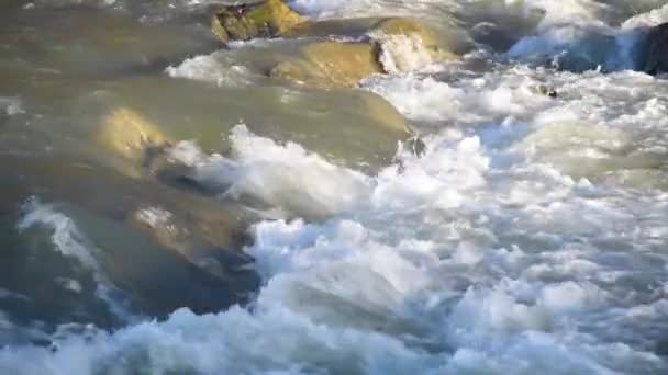 Plně Tekoucí Horská Řeka Zimě Karpat — Stock video